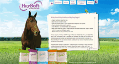 Desktop Screenshot of haysoft.co.uk